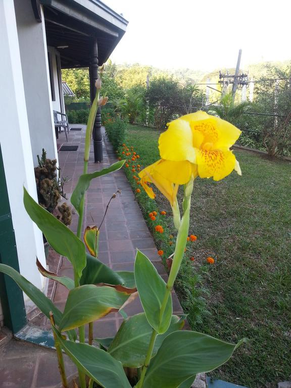 Kandy Holiday Home Eksteriør bilde