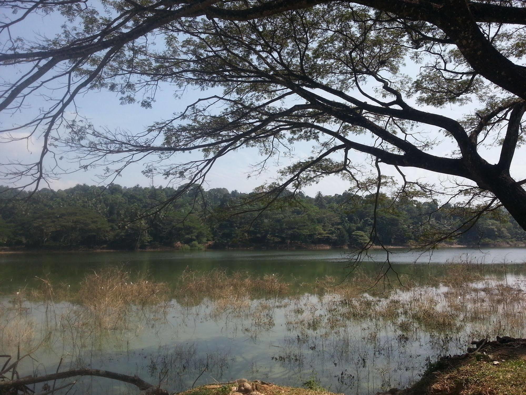 Kandy Holiday Home Eksteriør bilde